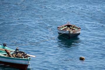 High-angle view of a gull perching on an old boat tied to another boat in the water