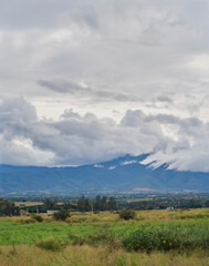 Obraz premium panoramico, nubes, ameca, arbol