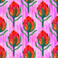 Colorful watercolor print with protea flowers on a pink background. Seamless floral pattern