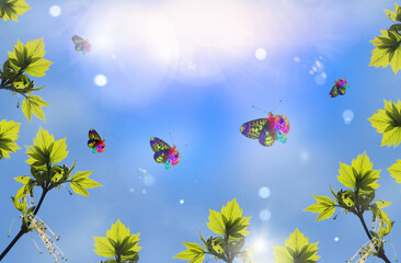 Fototapeta na wymiar Spring background with fresh green leaves and colorful butterfly. Bright blue sky with sunlight bokeh. Vivid spring landscape. Banner, copy space. Atmospheric mood