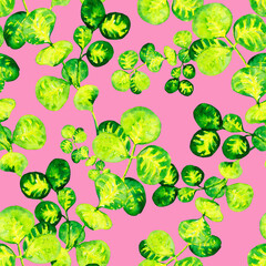 Watercolor green leaves stained on a pink background. Tropical peperomia seamless floral pattern