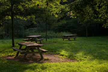 Des tables de piquenique en bois sous des arbres. Une aire de piquenique agréable. Une zone de piquenique