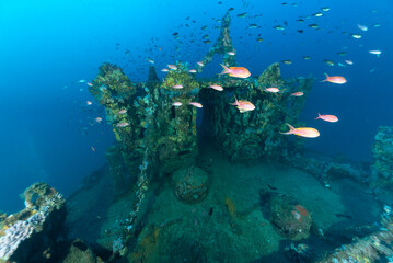 Ponte del relitto del Gazzella, corvetta della marina italiana affondata durante la seconda guerra...