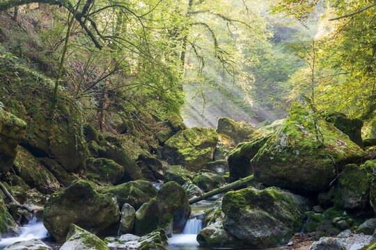 Beautiful shot of a river flowing in Gorges de l'Areuse, Boudry, Switzerland in autumn