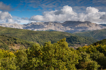 Fototapeta premium View of the Hoces de Vegacervera mountains from the Hayedo de Orzonaga, León, Spain.
