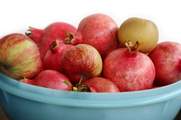Many ripe red Pomegranate fruits in plastic bowl against white background. Punica granatum harvest 