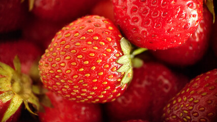Juicy ripe strawberry berry selective focus close-up