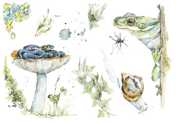 Spread from my sketchbook. Mushroom forest sketches. Watercolor hand drawn illustration - 541149594