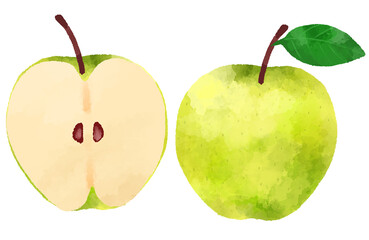 青りんごのイラスト　手描き　水彩風