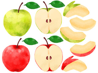 りんごのイラスト　手描き　水彩風