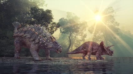 Rolgordijnen Ankylosaurus and Triceratops in the valley at the lake. © Orlando Florin Rosu
