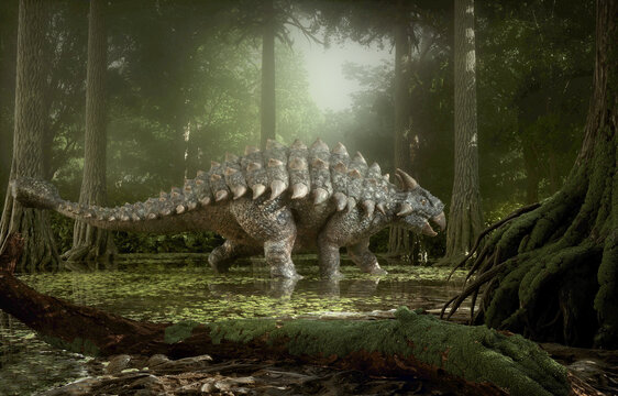 Dinosaur Ankylosaurus in the forest.