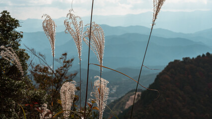 mountain landscape of autumn in Japan