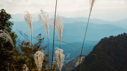 mountain landscape of autumn in Japan