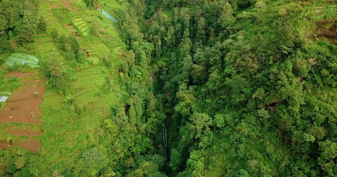 Drone footage of valley on the slope of mountain that overgrown by trees and plantation with hidden waterfall - Slope of Sumbing Mountain, Indonesia