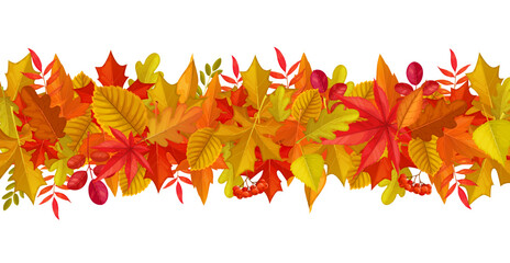 Seasonal background with autumn leaves and berries. November nature backdrop or border, autumn season fall vector abstract background. Thanksgiving wallpaper with marple, oak, rowan and birch leaves