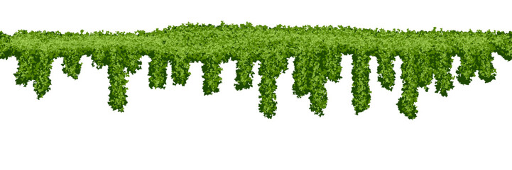 Horizontal seamless swamp moss texture on white background. Top of fence or wall with climbing plants. Bush line. Forest lichen. Vector illustration