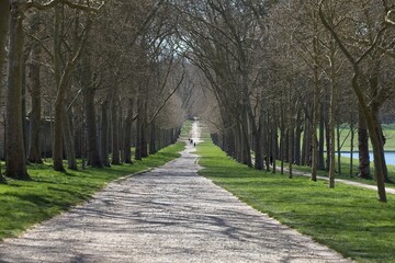 Obraz premium path in the park