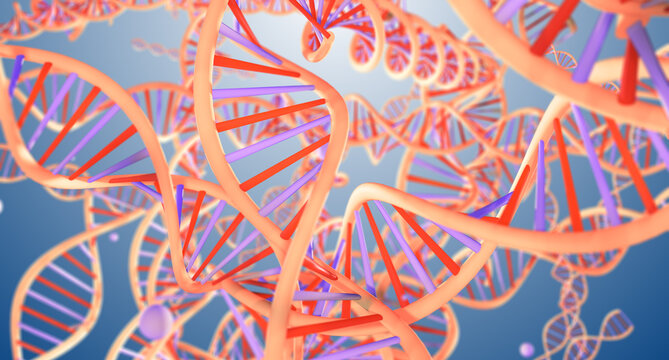 DNA molecules, illustration