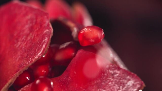 Pomegranate seeds burst explosion ans squirting from Pomegranate, Slow Motion