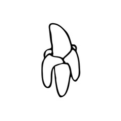 illustration vector graphic of banana,good for your project