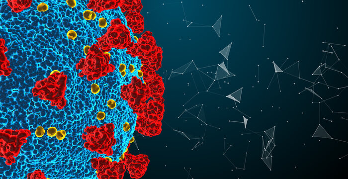 Coronavirus particle, illustration