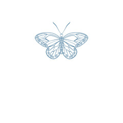 Butterfly Insect illustration logo png
