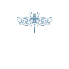 Dragonfly Insect illustration png