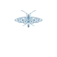 Wasp, queen bee Insects Illustration logo png 