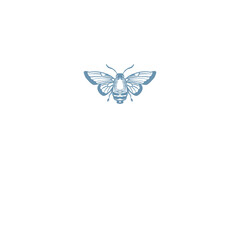  Butterfly Insects Illustration png 