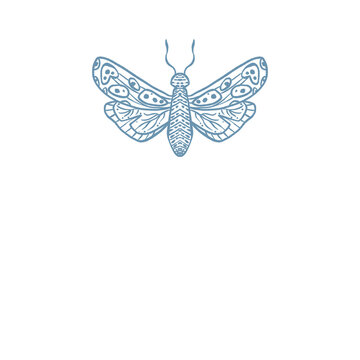 Moth, Butterfly Insect illustration logo png
