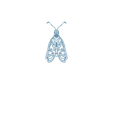 Moth, Butterfly Insect illustration logo png