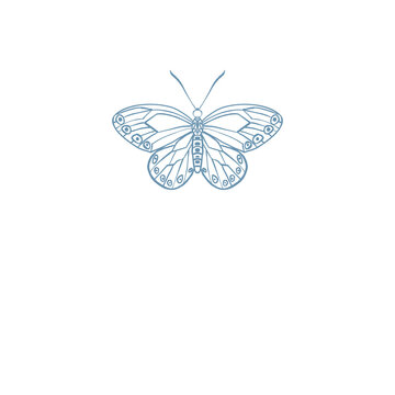 Butterfly Insect illustration logo png