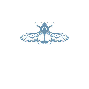 Beetle Scarab Insect illustration logo png