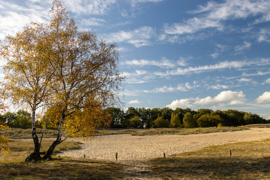 Boberger D&uuml;nen bei sch&ouml;nen Wetter im Herbst