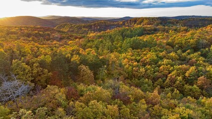 autumn nature in a czech countryside landscape and forest