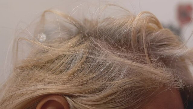 close-up of a blonde woman in gloves examines the gray hair on the parting of her hair before painting. hair coloring by woman, baldness treatment. gray hair anxiety
