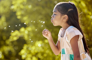 Dandelion blowing, nature and girl outdoor feeling zen and calm in spring with flowers. Young child...