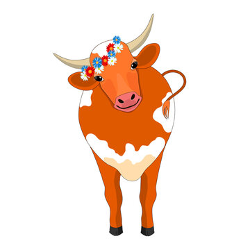 portrait of a cow with horns, a flower wreath on the horns of a brown cow with white spots. illustration