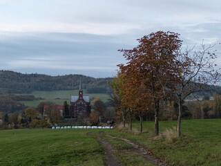 autumn nature in a czech countryside landscape and forest