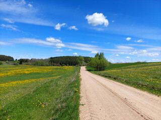 Fototapeta na wymiar Beautiful summer landscape with a curvy gravel country road