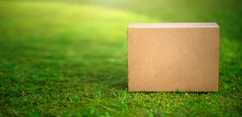 Cardboard box on a beautiful green summer background.A clean place for the inscription. Minimal background for the design and advertising of the courier delivery service. Presentation of a box for the