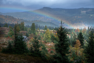 Rainbow in the dark sky over the autumn forest in the mountains.