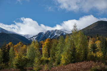 Bright colorful autumn trees in the mountains.