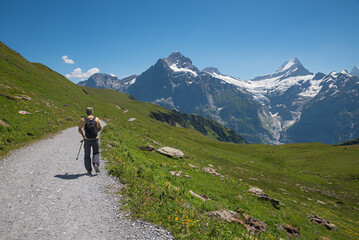 Fototapeta na wymiar hiker at mountain trail Grindelwald First, stunning view to Bernese Alps and glacier