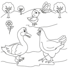 The chicken the swan and the baby chicken