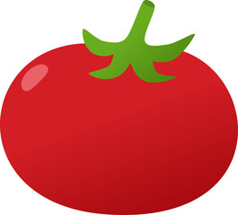 Tomato illustration