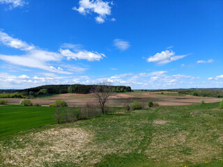 Fototapeta na wymiar Spring landscape with flowers meadow in the sunlight .