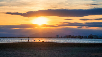 Obraz premium Perro paseando con su dueño al atardecer