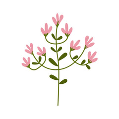 Pink Flower flat icon, plant nature, chamomile sign, a colorful solid pattern on a white background, eps 10.